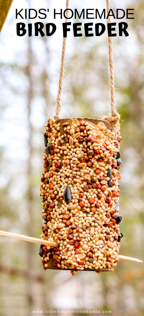 A DIY bird feeder made from a toilet paper roll covered in bird seed as an example of spring activities for preschoolers