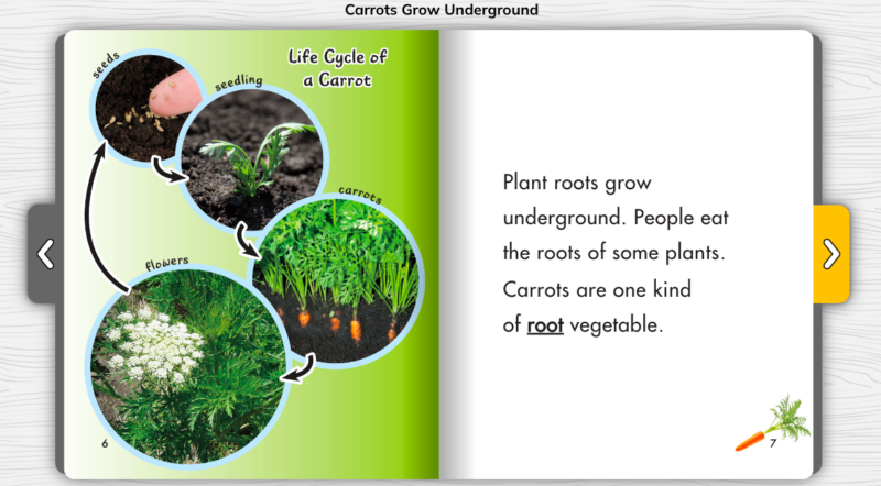 Sample page from Carrots Grow Underground showing a diagram