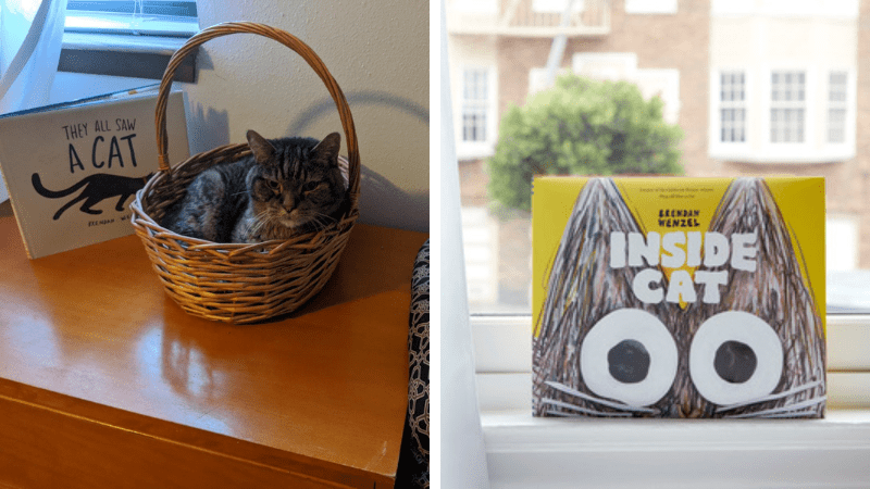 Cat books for kids including Inside Cat on window sill with plant and building in background and They All Saw a Cat on a table next to a cat sitting in basket