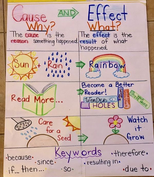 Anchor chart showing examples of cause and effect, with pictures