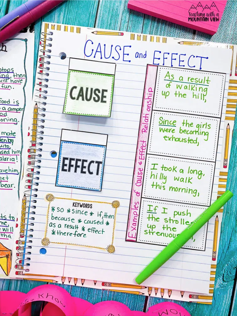 Cause and effect activity with interactive notebook