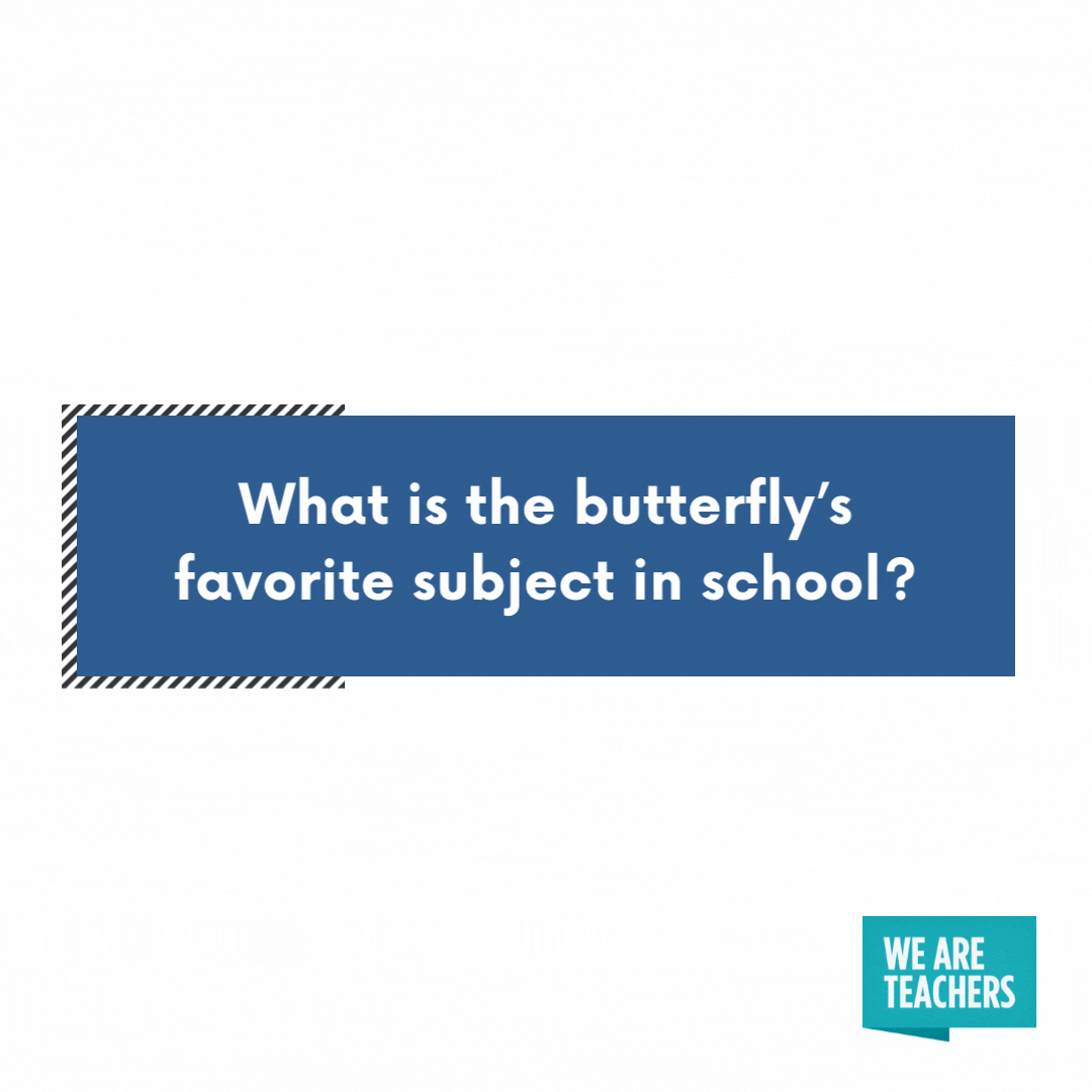 What is the butterfly’s favorite subject in school?