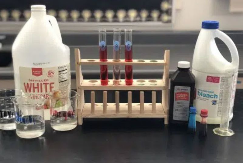 Test tubes in a rack with bleach, hydrogen peroxide, and vinegar