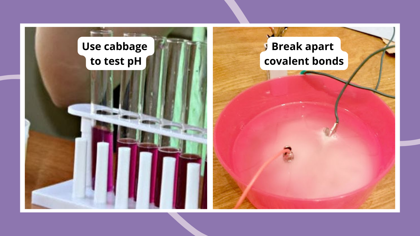 Chemistry experiments including using cabbage to test pH and breaking apart covalent bonds