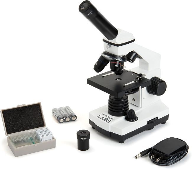 Compound microscope with accessories