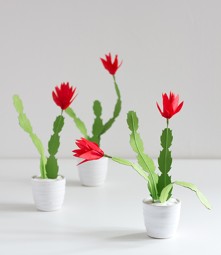 Christmas cactus plants made from paper in small white pots as an example of classroom winter crafts