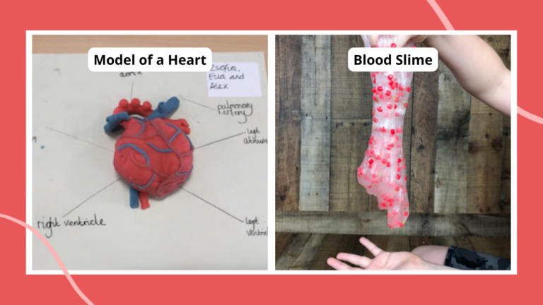 circulatory system ideas play dough model heart and blood slime