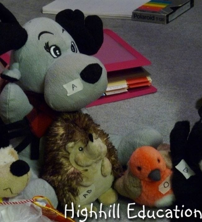 Stuffed animals with labels saying A, B, AB, and O (Circulatory System Activities)