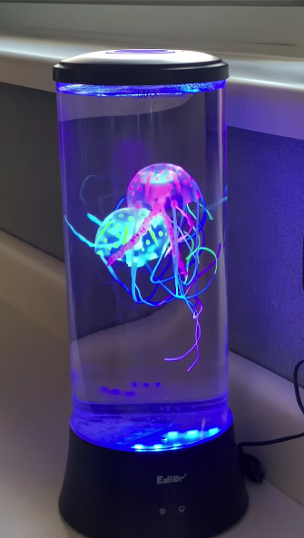 Jellyfish swim in a lighted tank