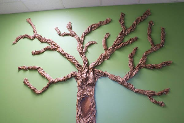 Classroom Tree Branches