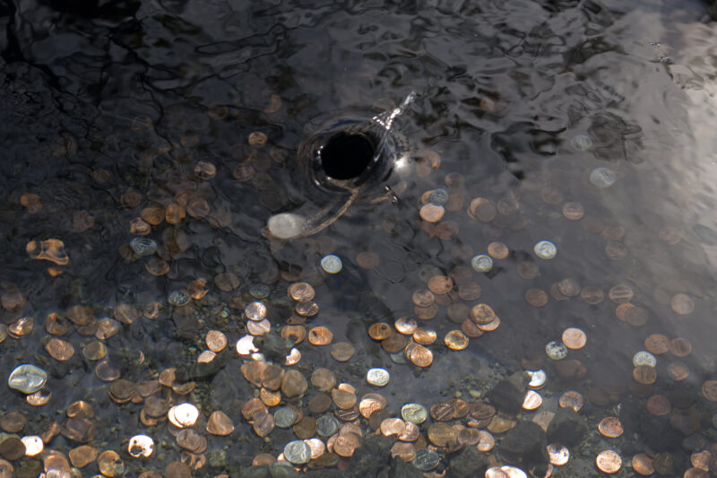 Coins in the bottom of kiddie pool made into a wishing well.