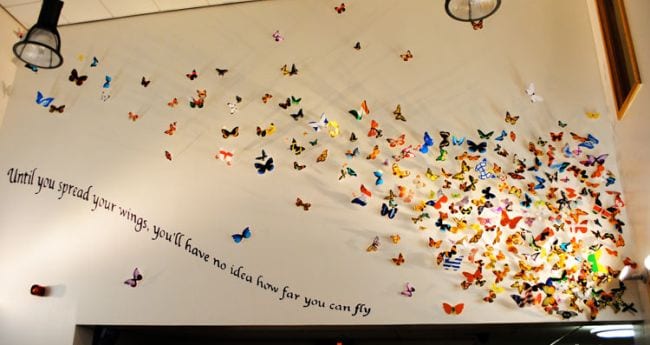 Wall hung with paper butterflies; text reads Until you spread your wings, you'll have no idea how far you can fly