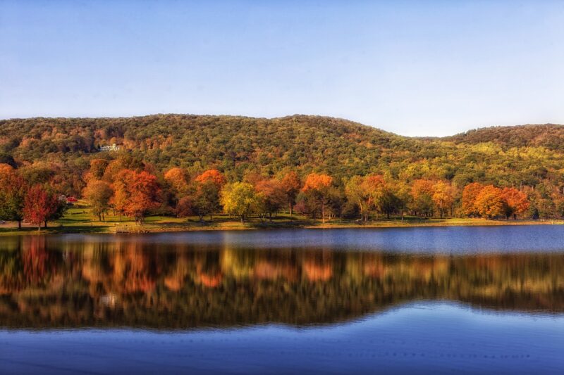 Trees with foliage and lake in Connecticut, a state with a high average teaching salary