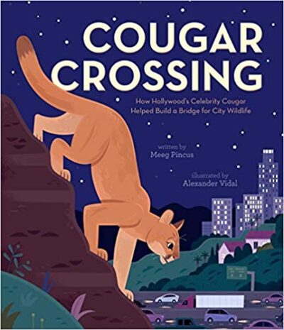 Book cover for Cougar Crossing as an example of animal books for kids