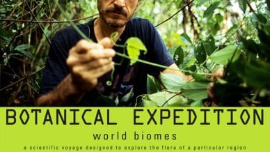 Plants Design Biomes Lesson