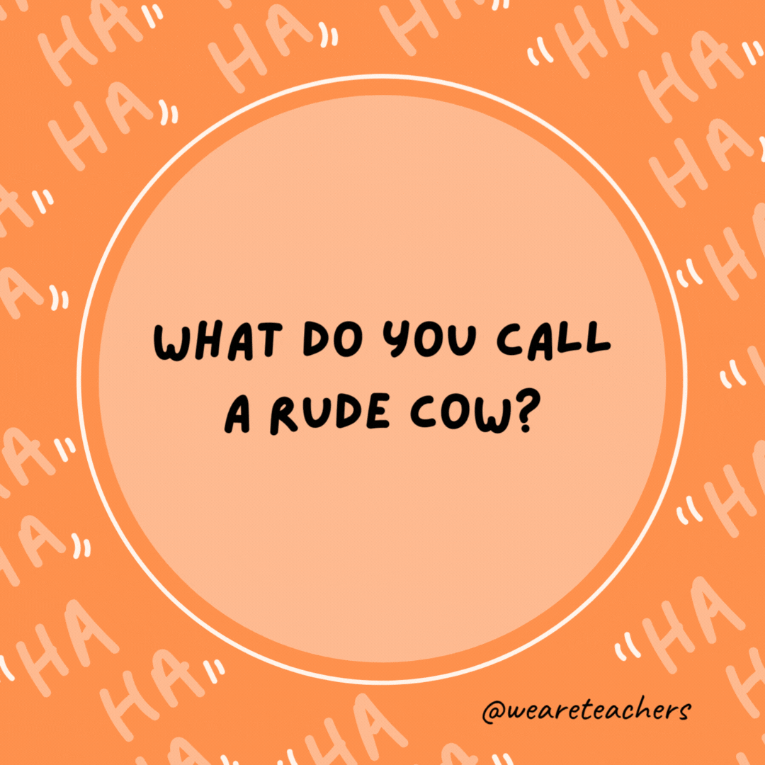 What do you call a rude cow? Beef jerky.- dad jokes for kids