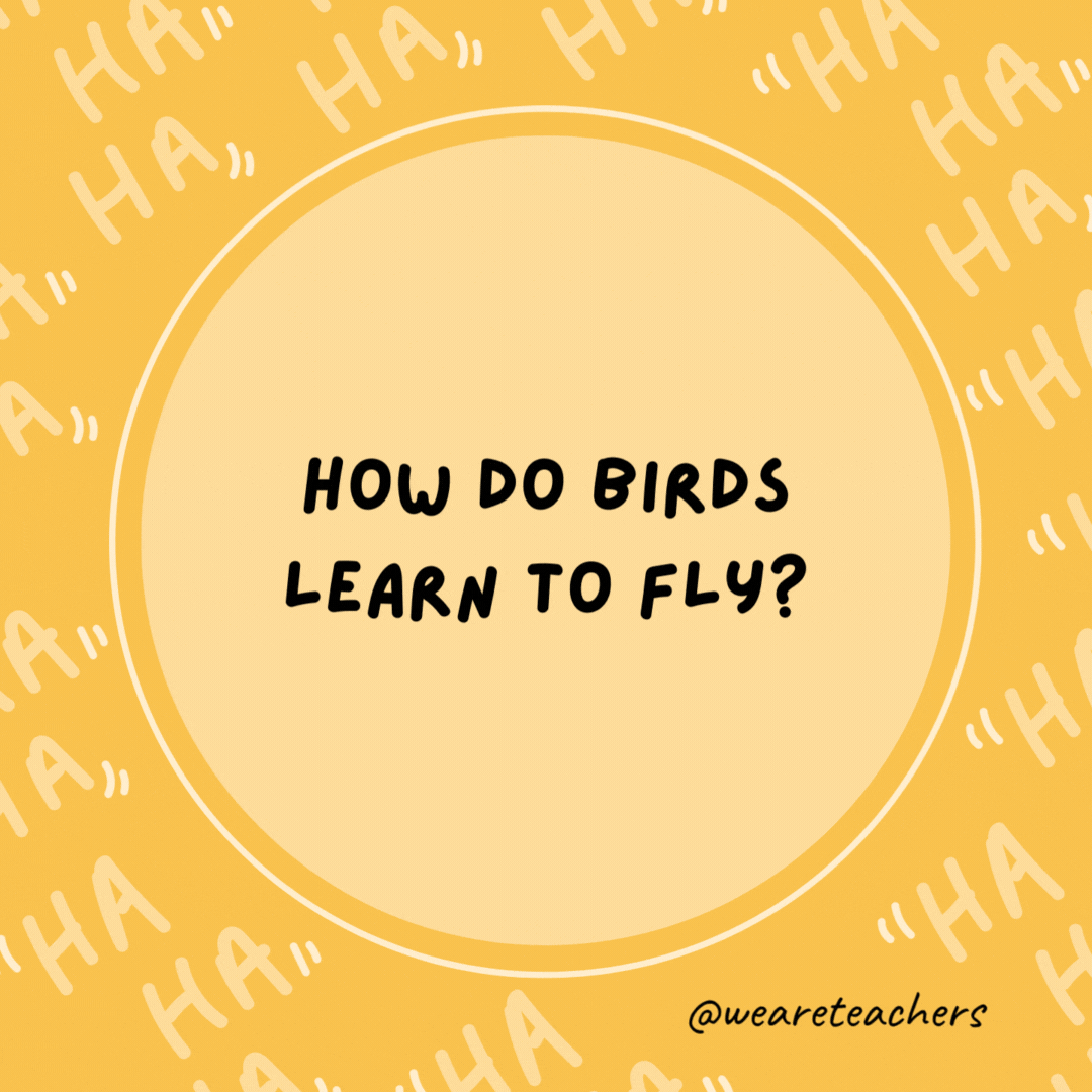 How do birds learn to fly? They wing it.