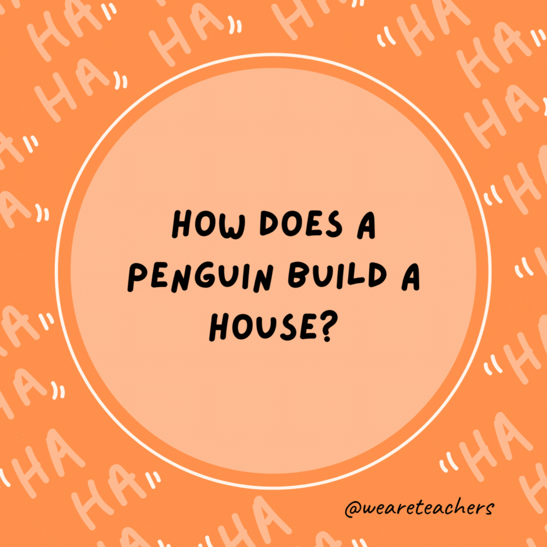 How does a penguin build a house? Igloos it together.