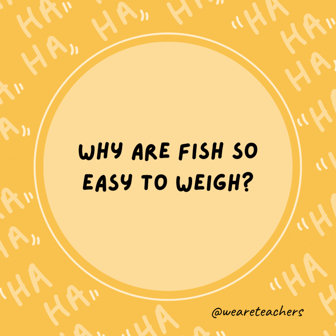 Why are fish so easy to weigh? Because they have their own set of scales.- dad jokes for kids