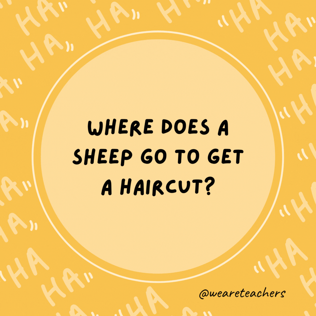 Where does a sheep go to get a haircut? The baa-baa shop.- dad jokes for kids