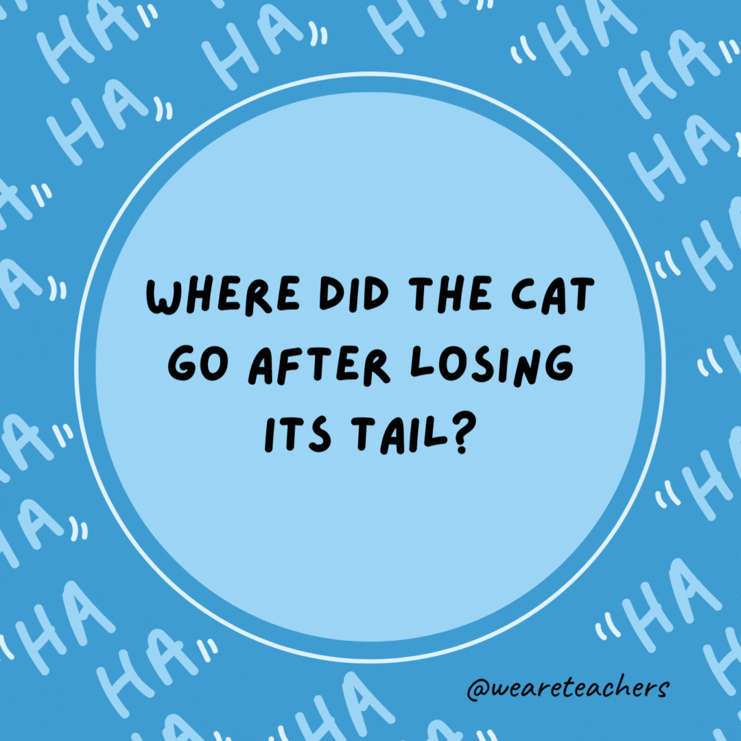 Where did the cat go after losing its tail? The retail store.