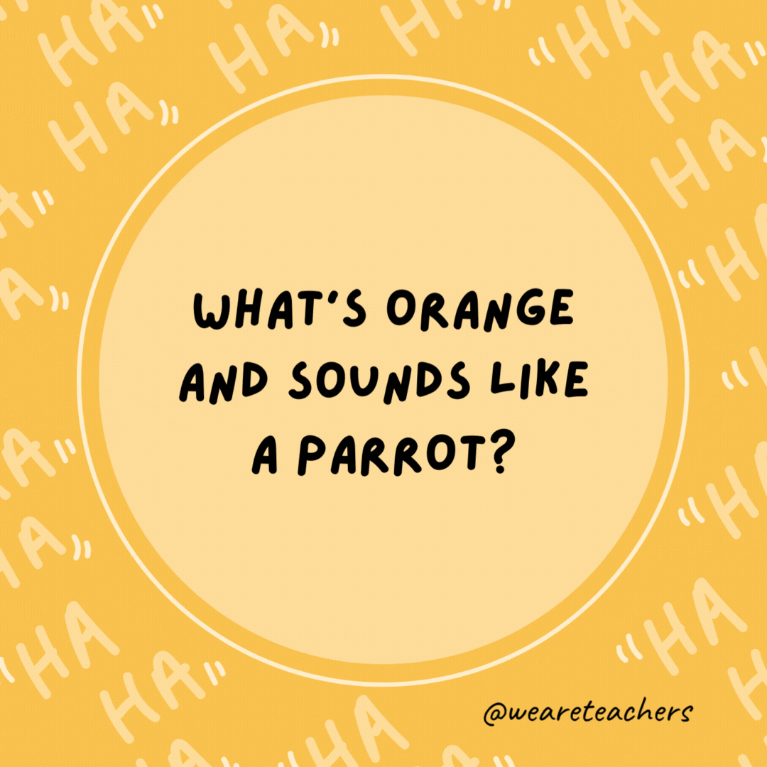 What’s orange and sounds like a parrot? A carrot.