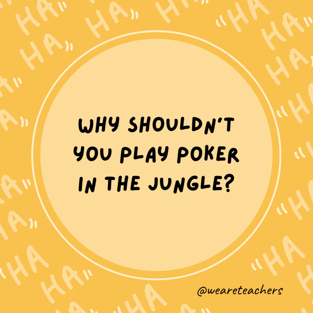 Why shouldn't you play poker in the jungle? Too many cheetahs.