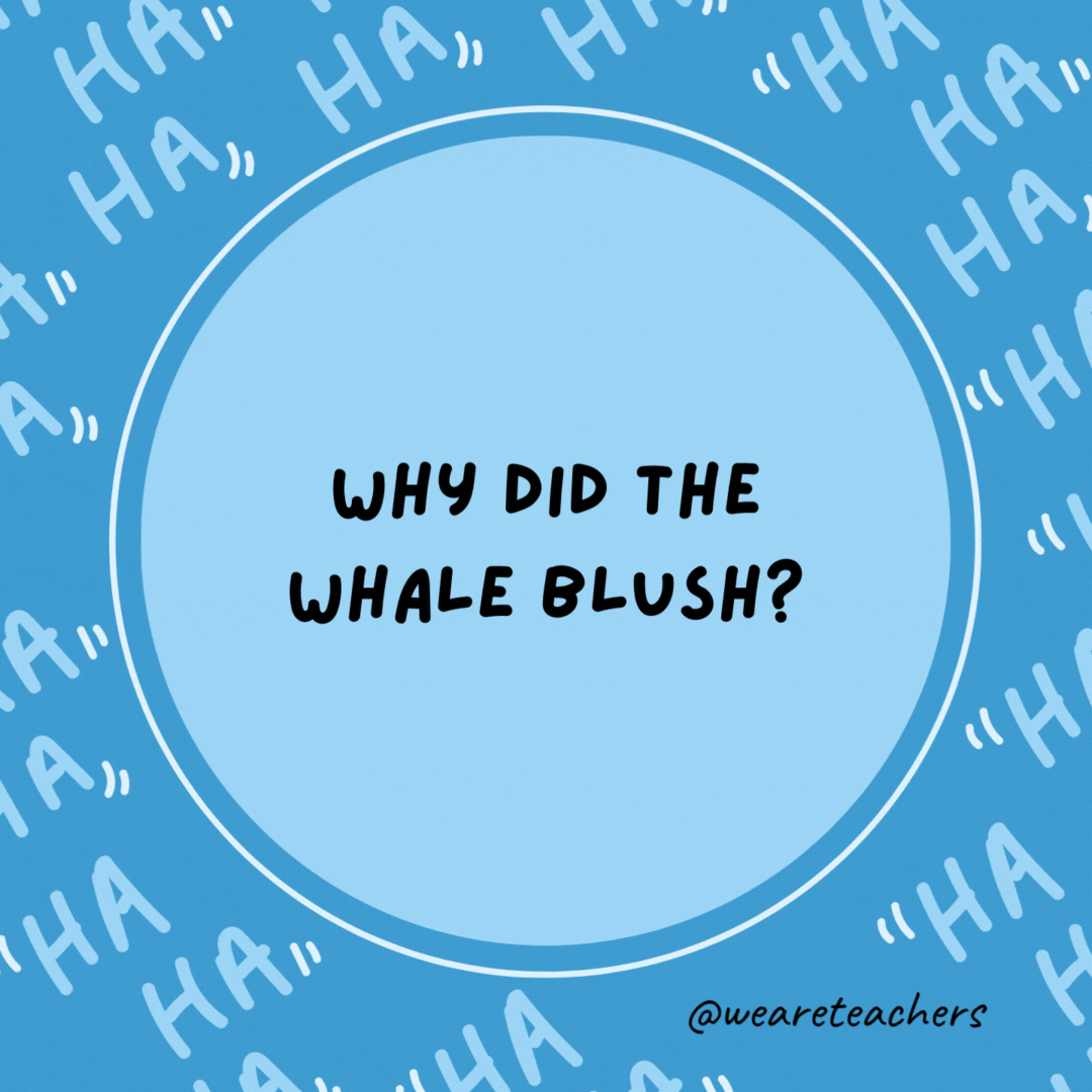 Why did the whale blush? It saw the ocean’s bottom.