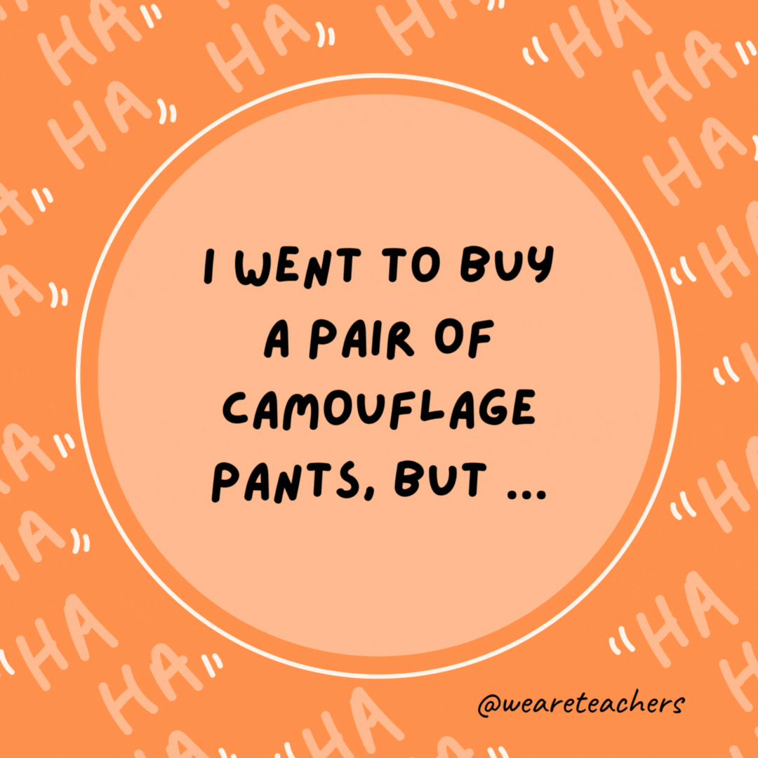 I went to buy a pair of camouflage pants, but ... I couldn’t find them.- dad jokes for kids