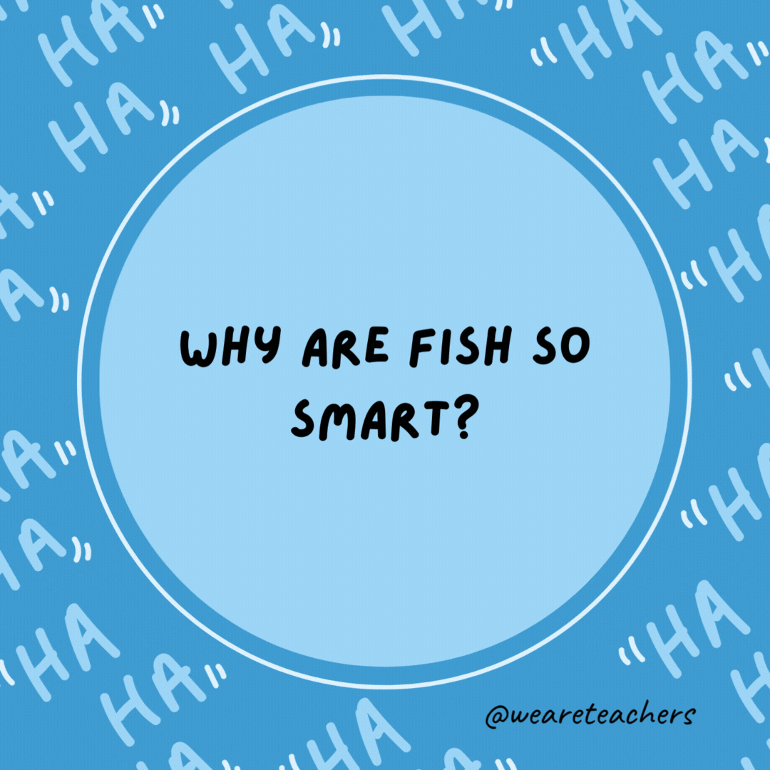 Why are fish so smart? Because they swim in schools.