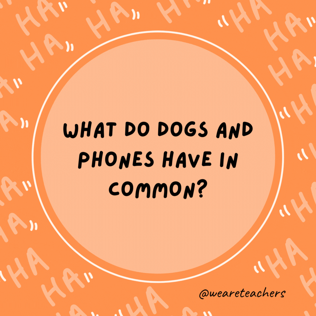 What do dogs and phones have in common? Both have collar ID.- dad jokes for kids