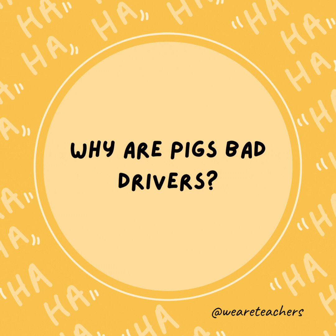 Why are pigs bad drivers? They hog the road.