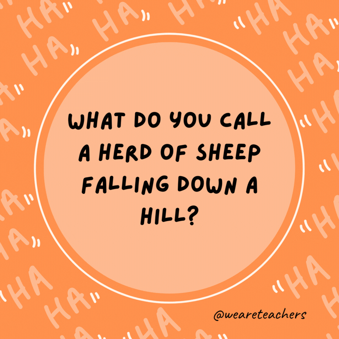 What do you call a herd of sheep falling down a hill? A lambslide.- dad jokes for kids