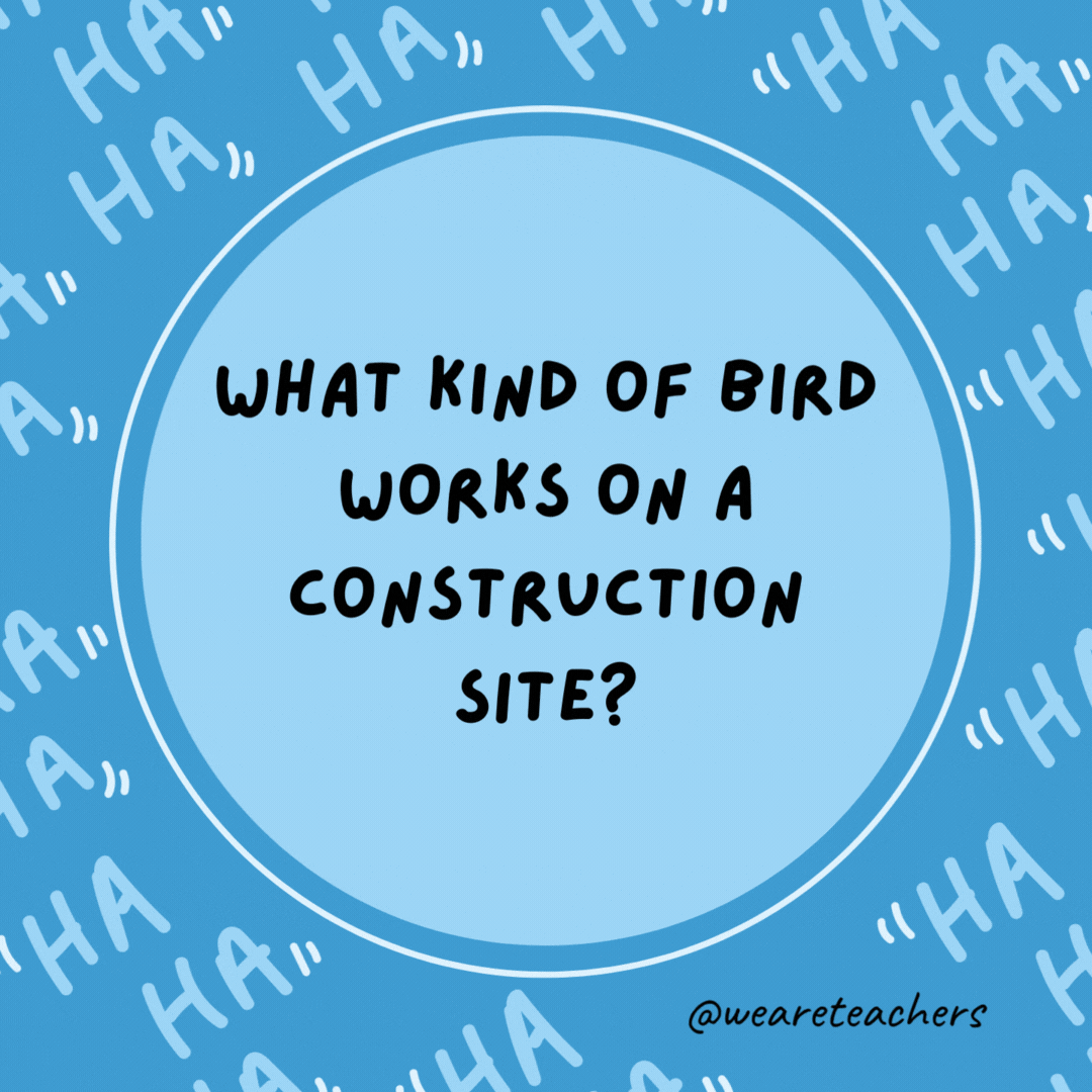 What kind of bird works on a construction site? A crane.