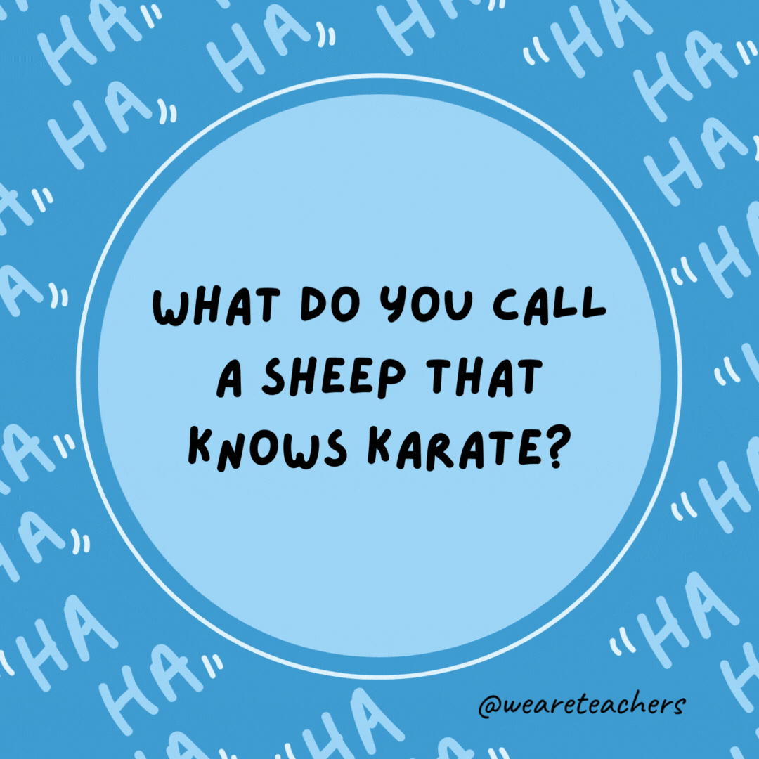 What do you call a sheep that knows karate? A lamb chop.
