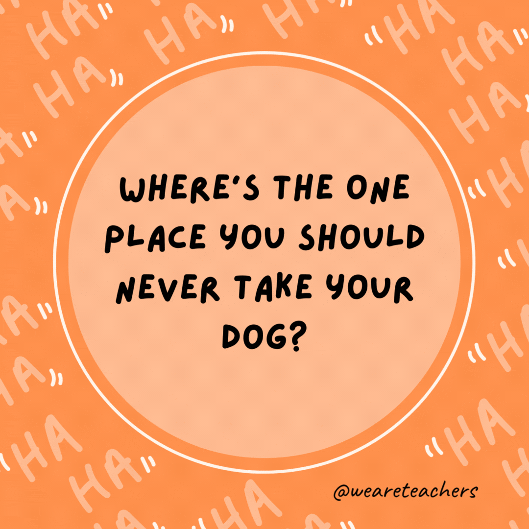 Where’s the one place you should never take your dog? A flea market.- dad jokes for kids