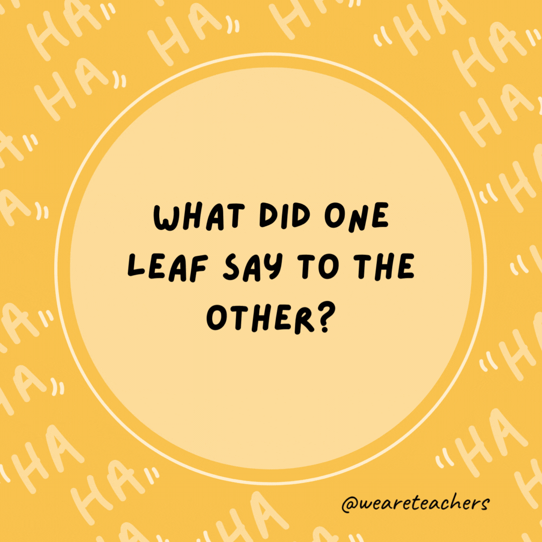 What did one leaf say to the other? I’m falling for you.