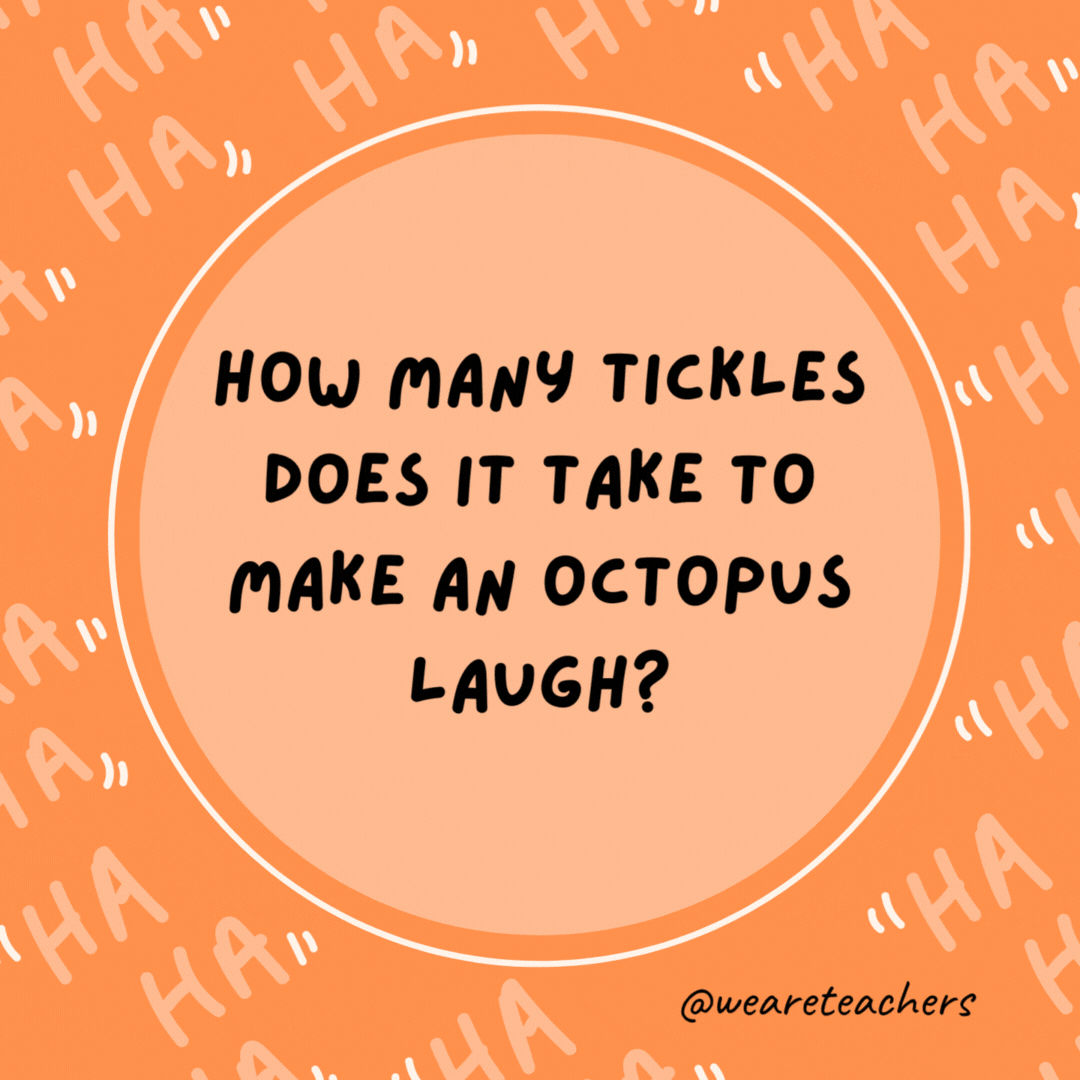 How many tickles does it take to make an octopus laugh? Tentickles.