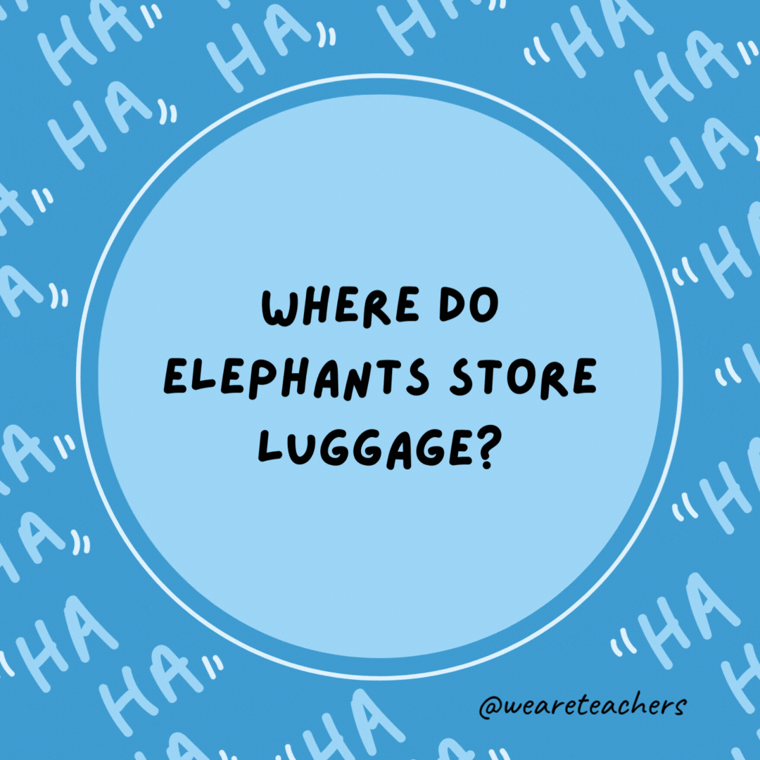 Where do elephants store luggage? In a trunk.- dad jokes for kids