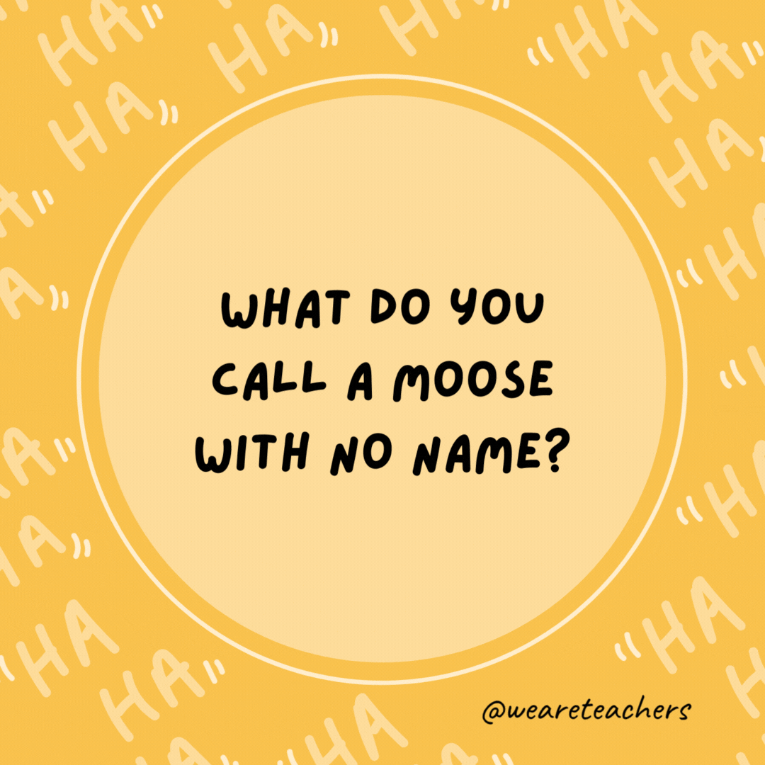 What do you call a moose with no name? Anonymoose.