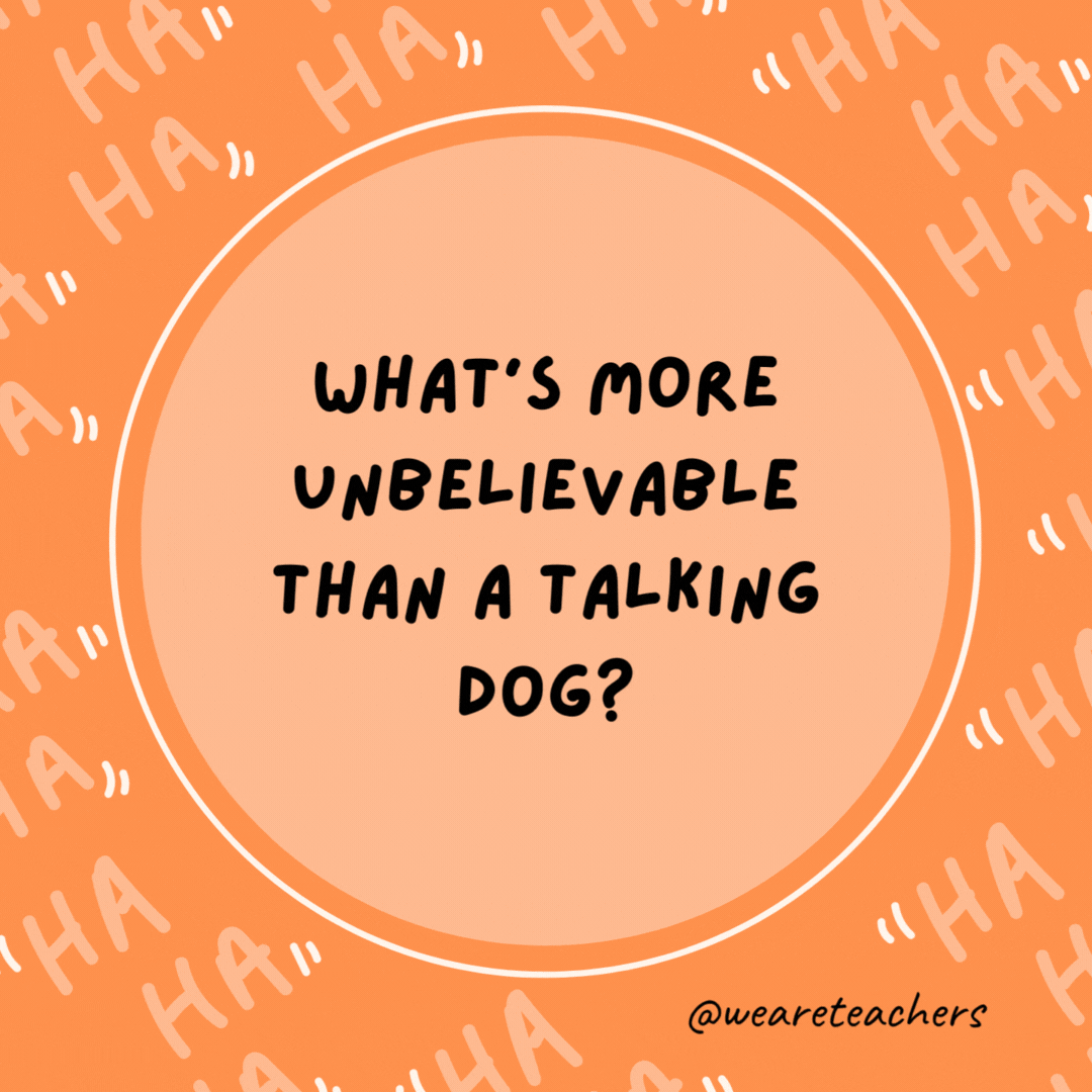 What’s more unbelievable than a talking dog? A spelling bee.