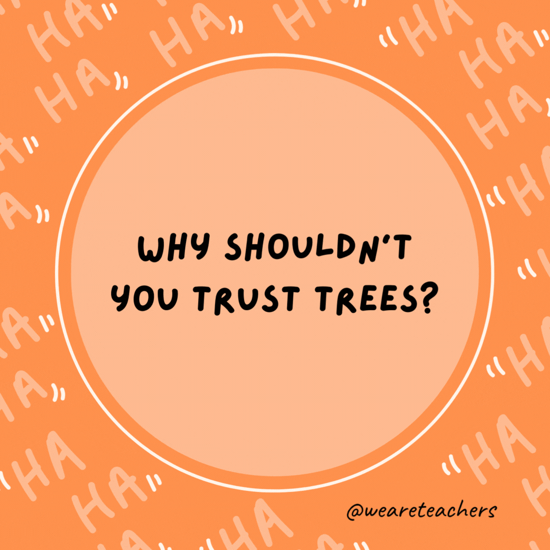 Why shouldn’t you trust trees? They seem shady.