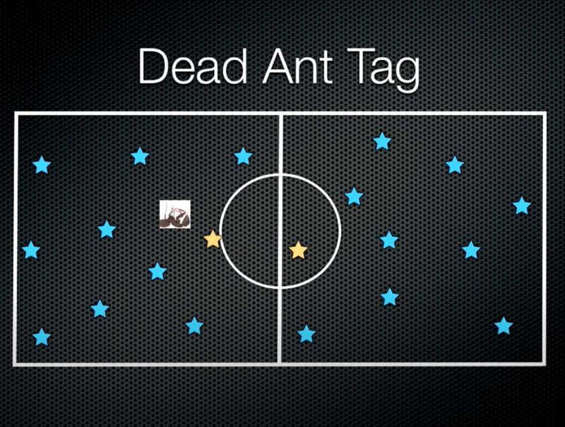 Diagram of how to play dead ant tag.