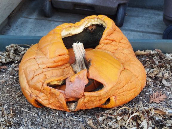 A decomposing jack-o-lantern pumpkin