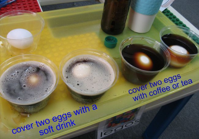 Four eggs submerged in cups of soda, coffee, and tea (Dental Activities for Preschoolers)