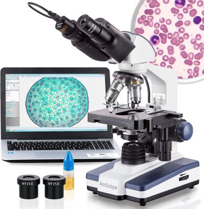 Digital microscope with a laptop and blown-up images of microscopic cells