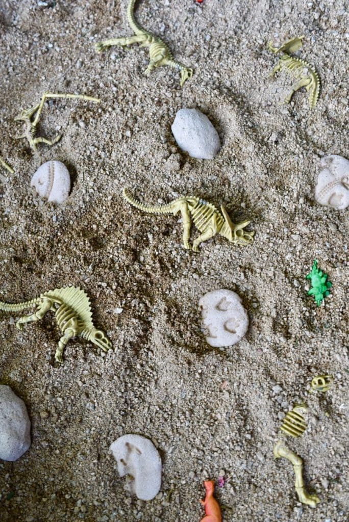 Dinosaur skeletons and fossils are seen inside dirt. 