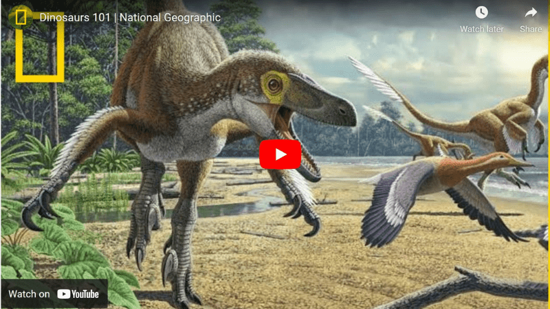 Screenshot of National Geographic Kids Dinosaurs 101, one of the best dinosaur videos for kids