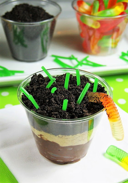Second grade science experiments can demonstrate layers of soil, as seen in this picture of a cup layered with chocolate pudding, Oreo cookie crumbs, and graham crackers.