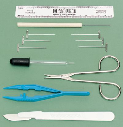 Set of dissecting tools including a ruler, pins, dropper, forceps, tweezers, probe, and scalpel